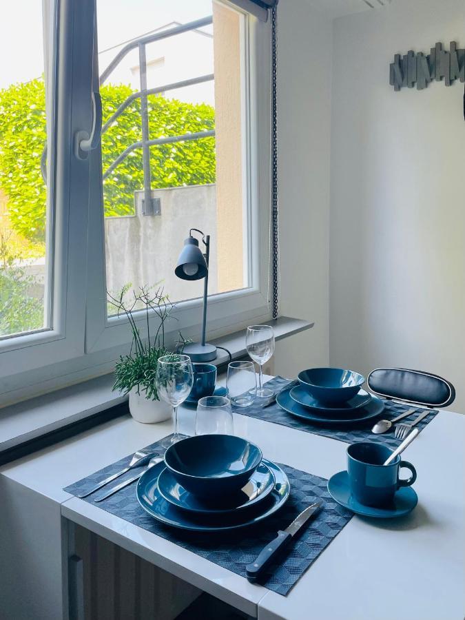 Dnn - Stylish Studio - Free Wifi, Netflix And Parking - Min Away To Basel And Airport - Dishwasher, Washing Machine Сен-Луи Экстерьер фото