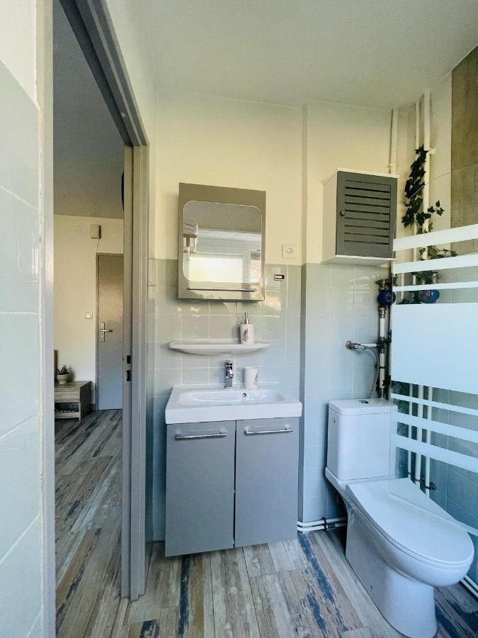 Dnn - Stylish Studio - Free Wifi, Netflix And Parking - Min Away To Basel And Airport - Dishwasher, Washing Machine Сен-Луи Экстерьер фото