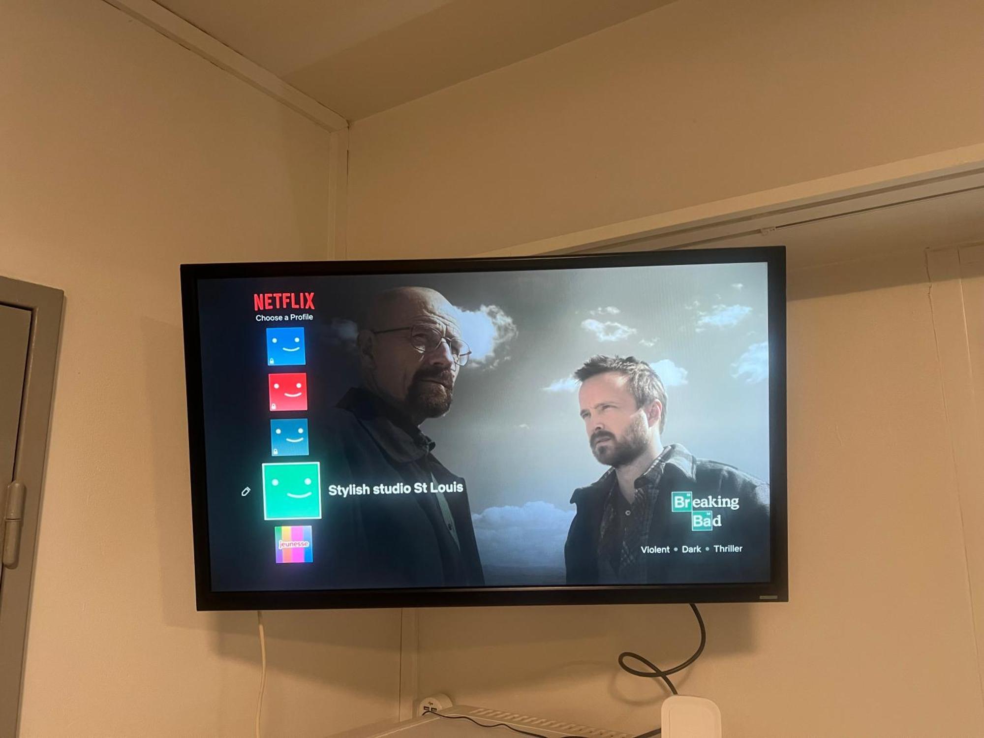 Dnn - Stylish Studio - Free Wifi, Netflix And Parking - Min Away To Basel And Airport - Dishwasher, Washing Machine Сен-Луи Экстерьер фото